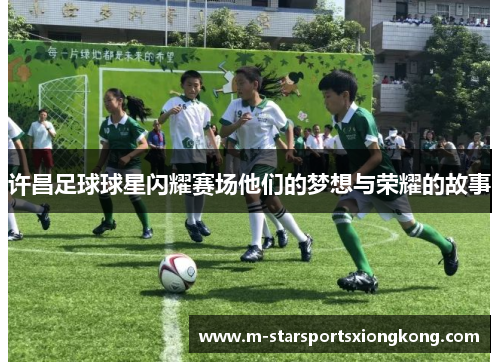 许昌足球球星闪耀赛场他们的梦想与荣耀的故事