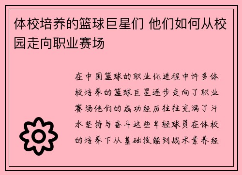 体校培养的篮球巨星们 他们如何从校园走向职业赛场